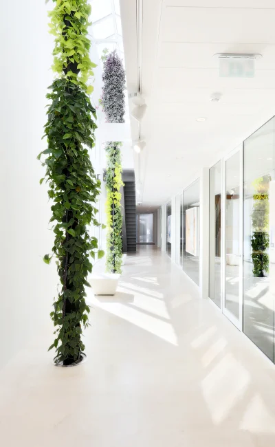 Intermontage Terwolde