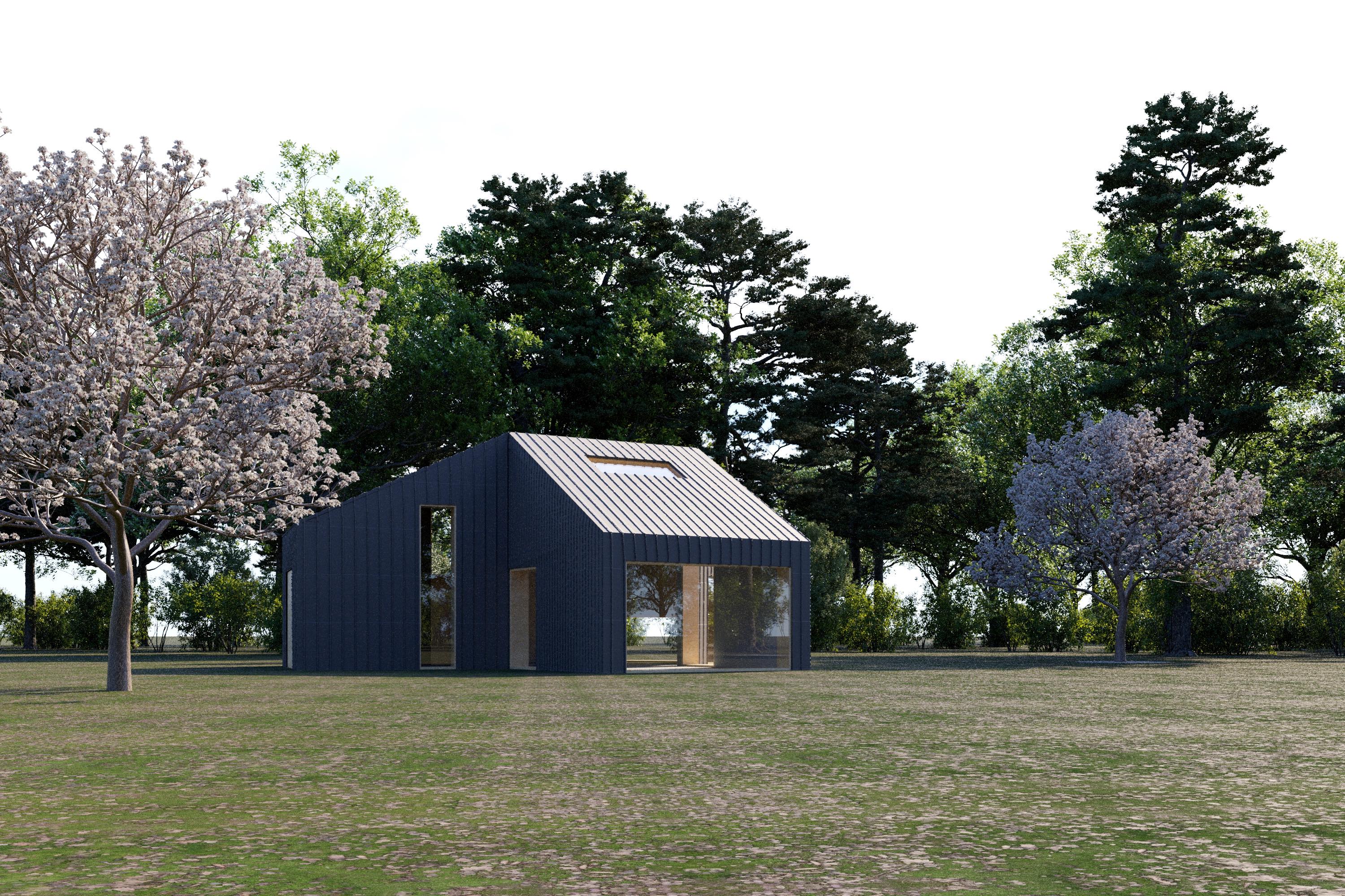 Living underneath the trees