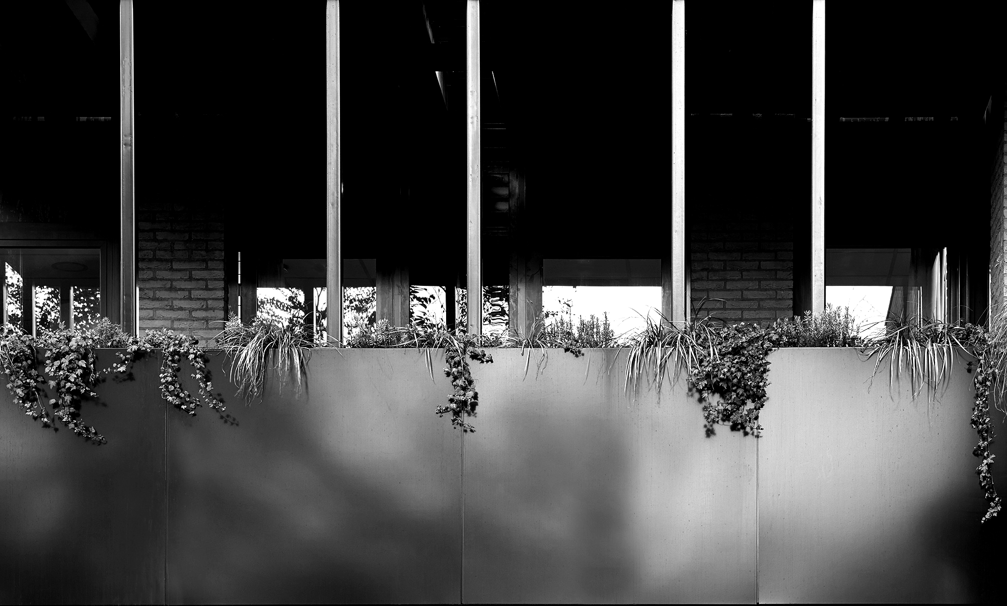 Woongroep Amervoorde